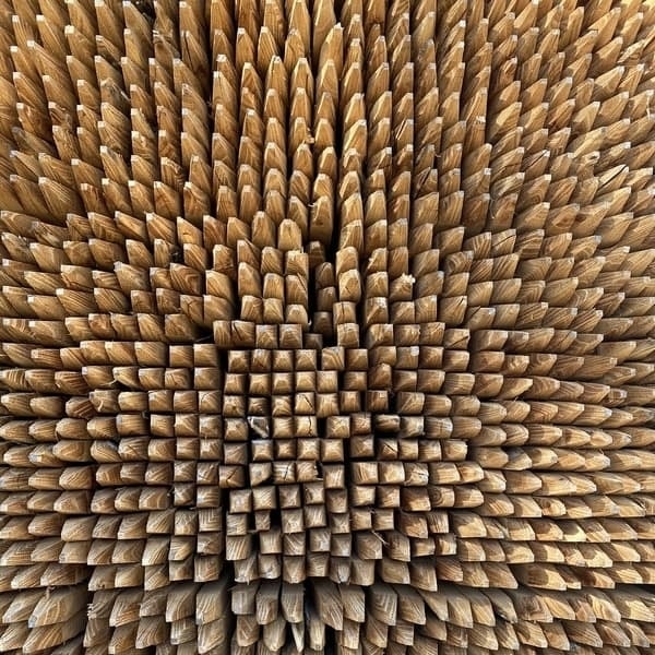 Webp.net-resizeimage (2)